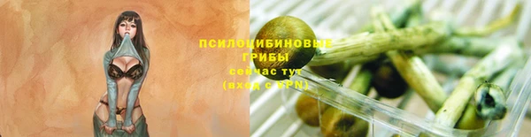 герыч Карпинск