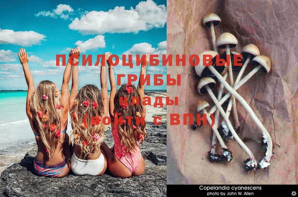 кокаин Кинешма